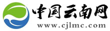 云南信息网